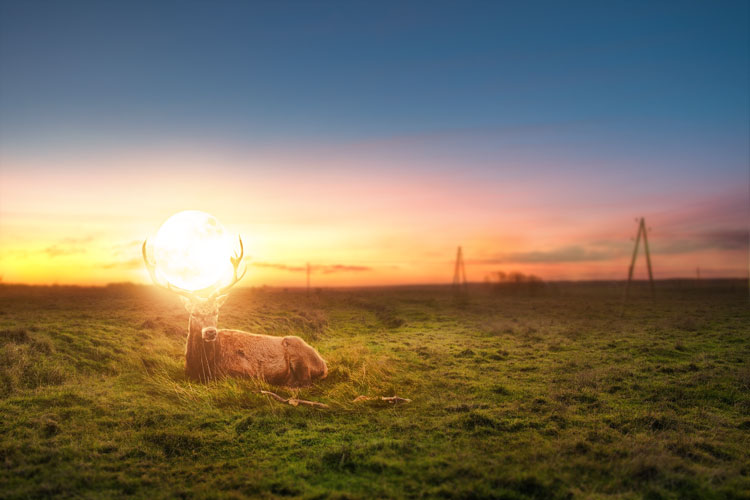 How to Create a Surreal Deer Composite in Photoshop